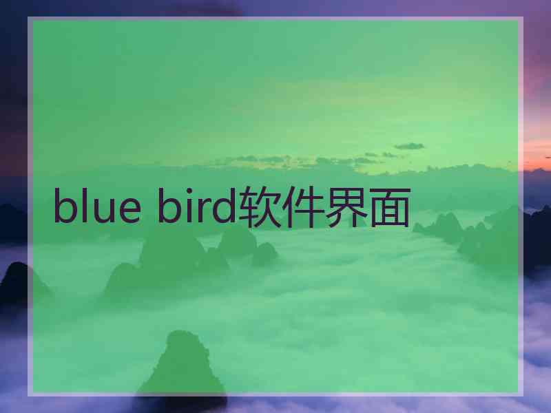 blue bird软件界面