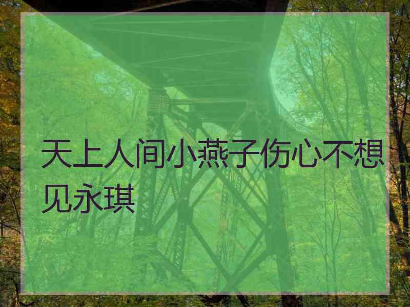 天上人间小燕子伤心不想见永琪