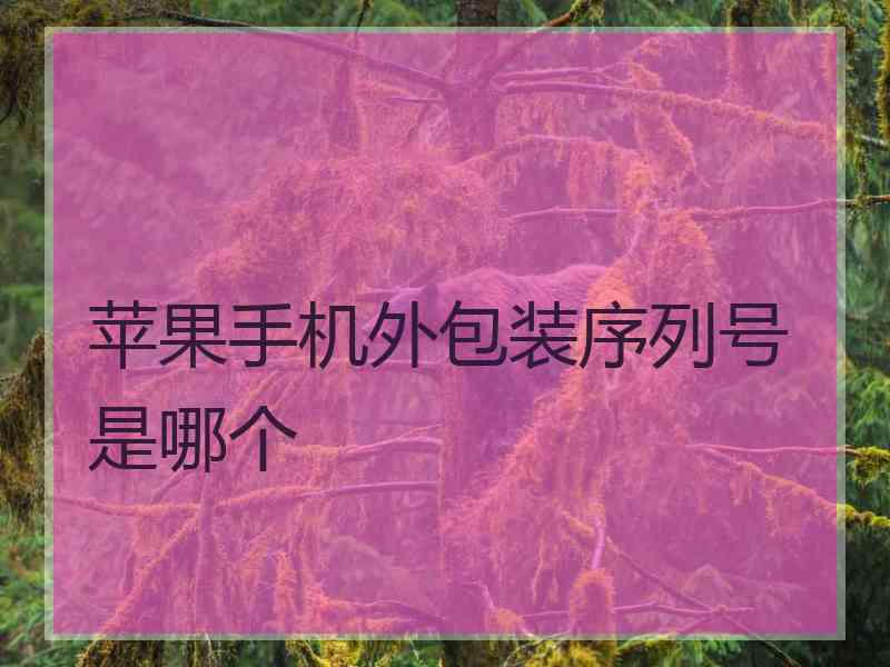 苹果手机外包装序列号是哪个