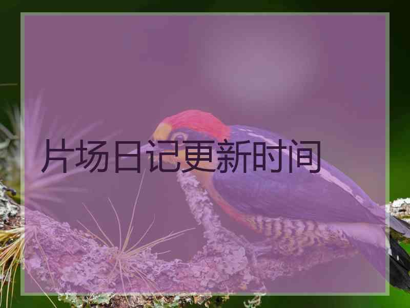 片场日记更新时间