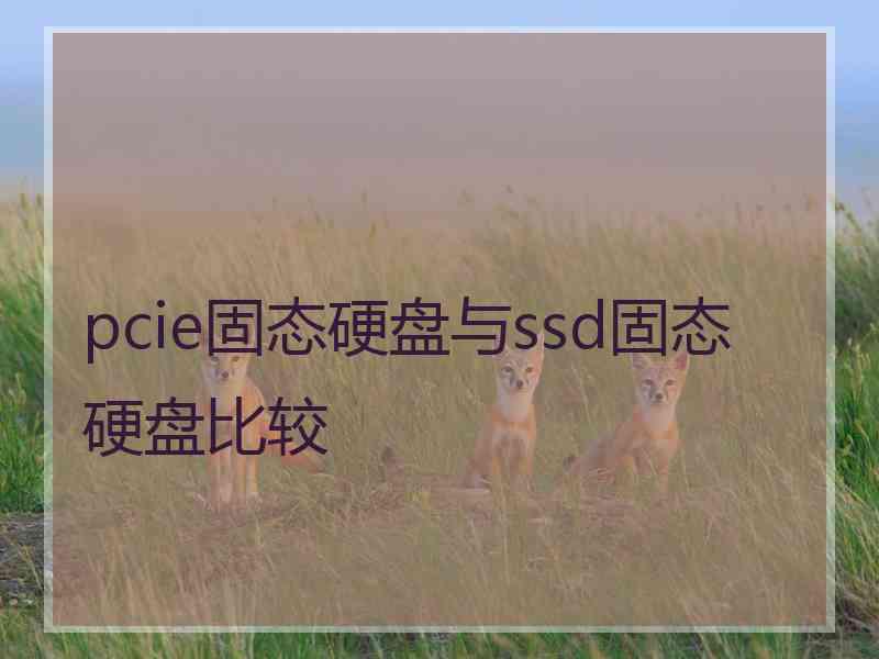 pcie固态硬盘与ssd固态硬盘比较