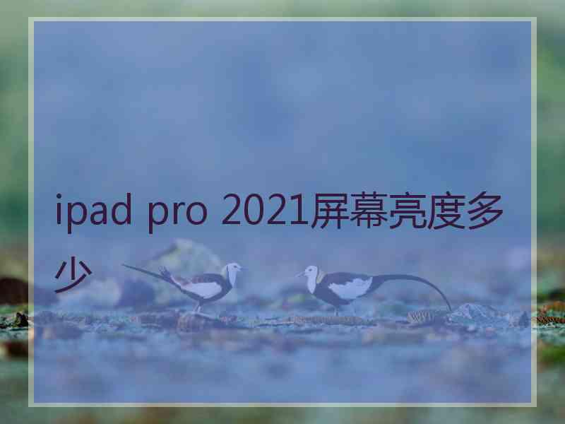 ipad pro 2021屏幕亮度多少