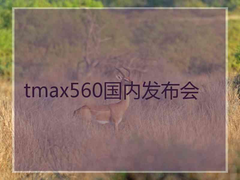 tmax560国内发布会