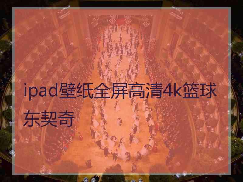 ipad壁纸全屏高清4k篮球东契奇