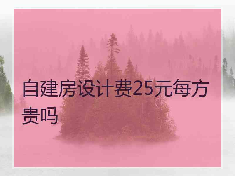 自建房设计费25元每方贵吗