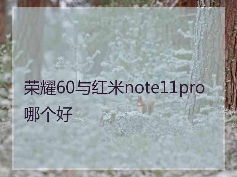 荣耀60与红米note11pro哪个好