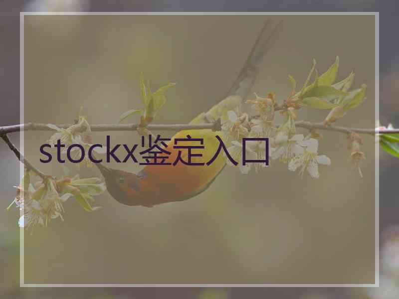 stockx鉴定入口