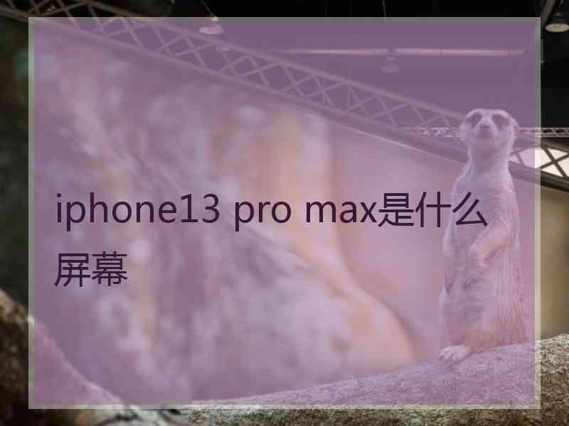 iphone13 pro max是什么屏幕