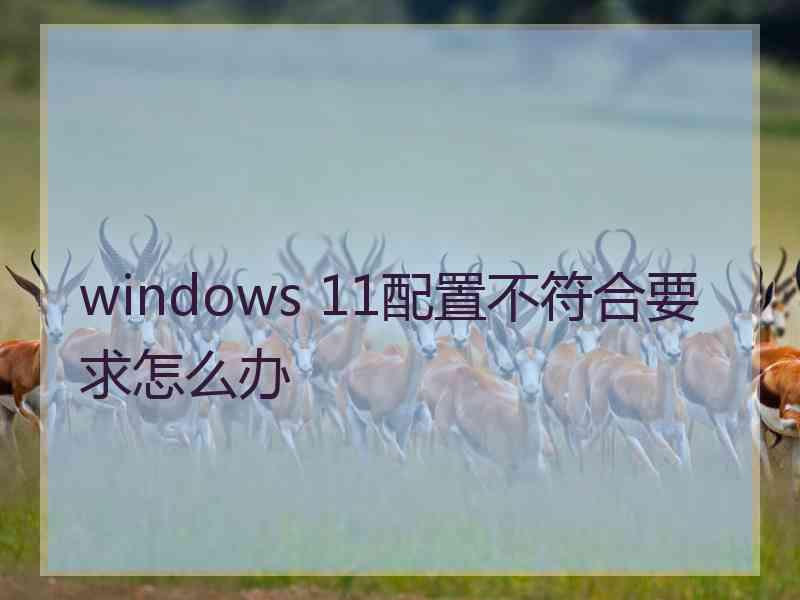 windows 11配置不符合要求怎么办