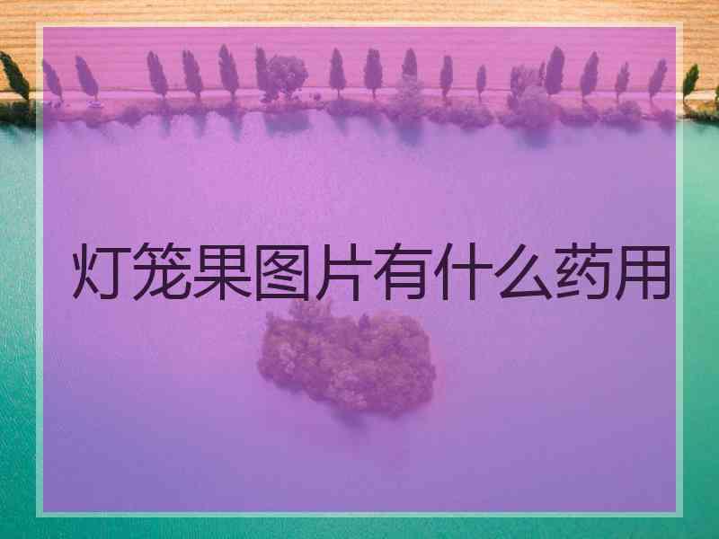 灯笼果图片有什么药用