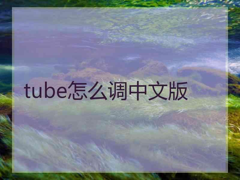 tube怎么调中文版