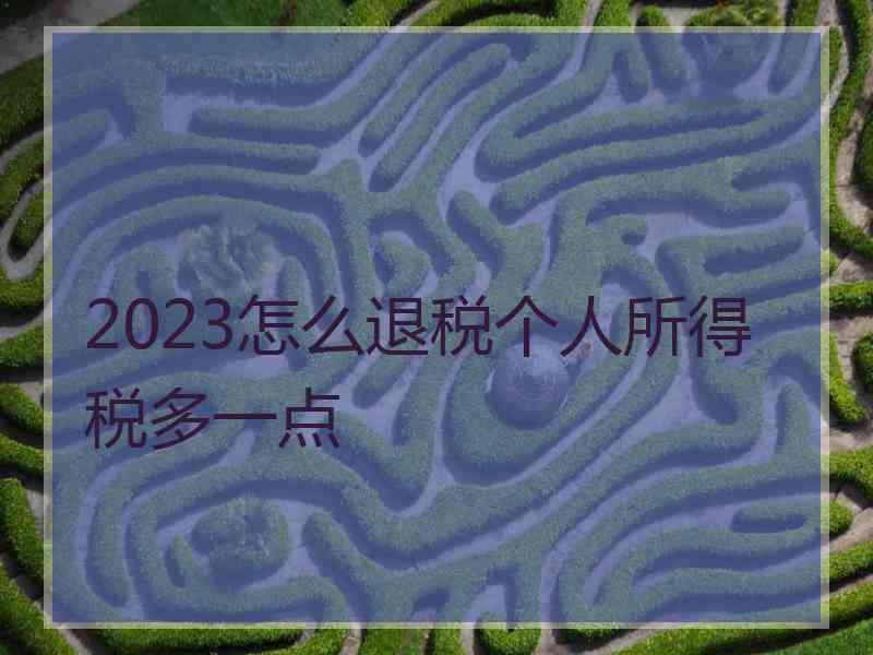 2023怎么退税个人所得税多一点