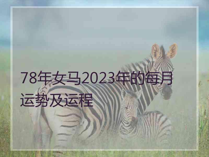 78年女马2023年的每月运势及运程