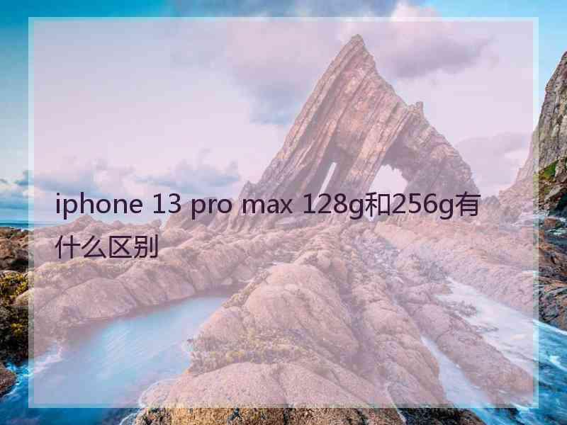 iphone 13 pro max 128g和256g有什么区别