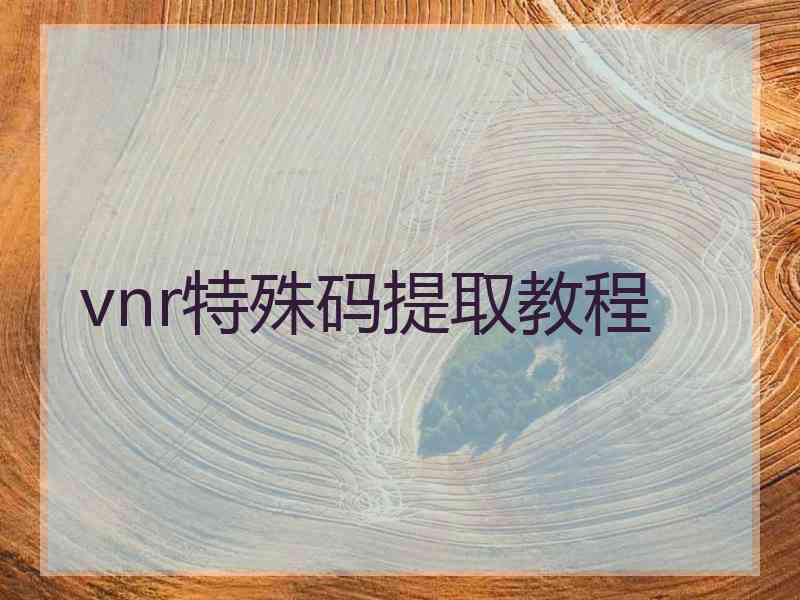 vnr特殊码提取教程