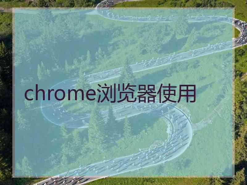 chrome浏览器使用