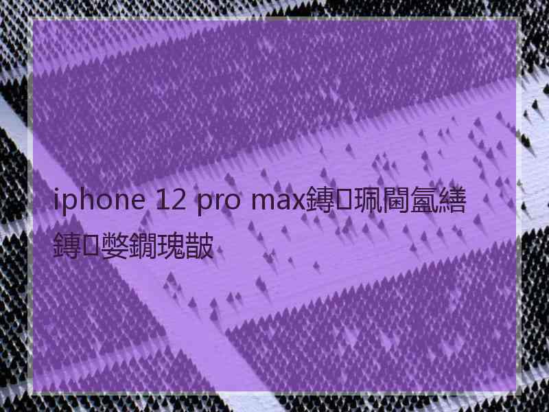 iphone 12 pro max鏄珮閫氳繕鏄嫳鐗瑰皵