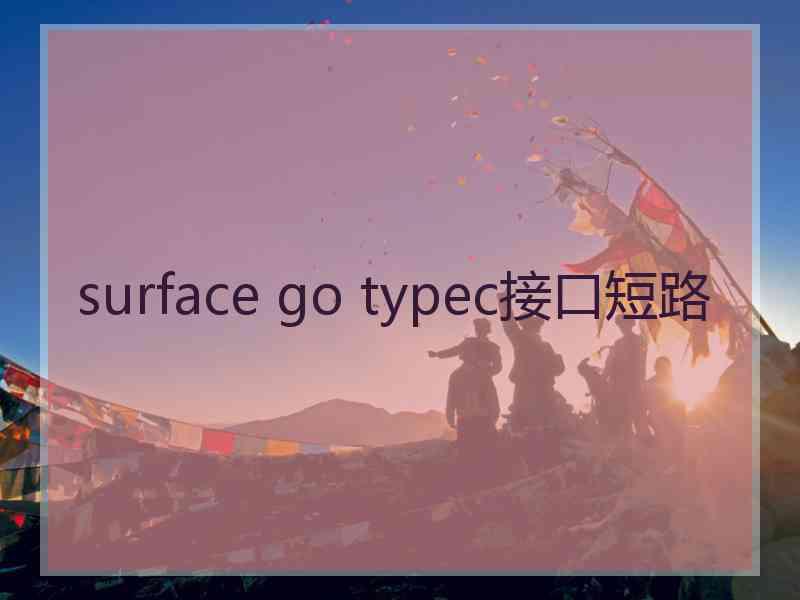 surface go typec接口短路