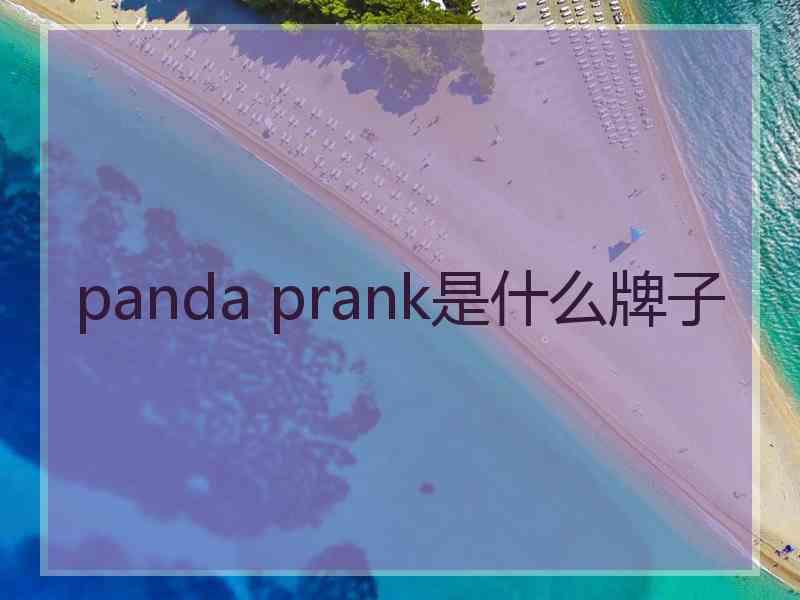 panda prank是什么牌子