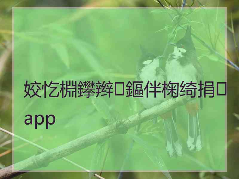 姣忔棩鑻辫鏂伴椈绮捐app