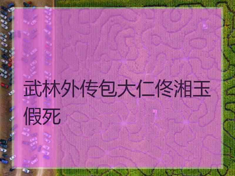 武林外传包大仁佟湘玉假死