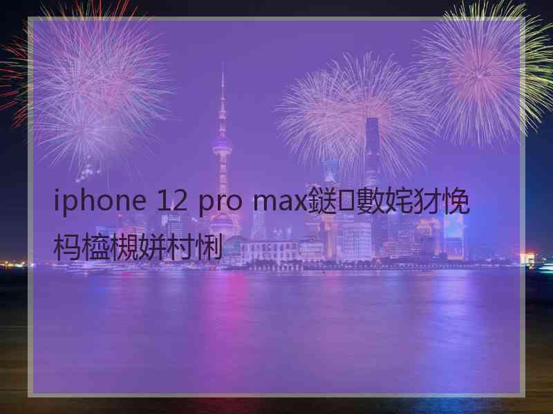 iphone 12 pro max鎹㈢數姹犲悗杩橀槻姘村悧