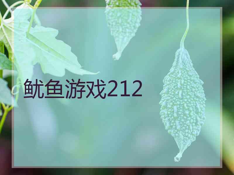 鱿鱼游戏212