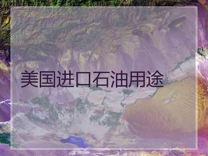 美国进口石油用途