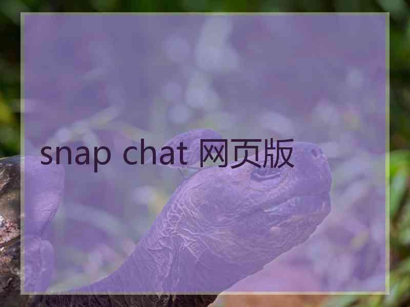 snap chat 网页版