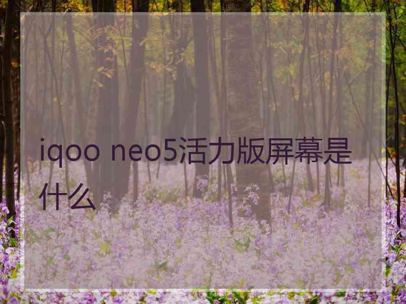 iqoo neo5活力版屏幕是什么