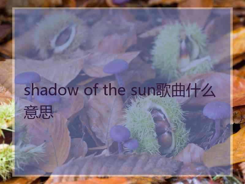 shadow of the sun歌曲什么意思