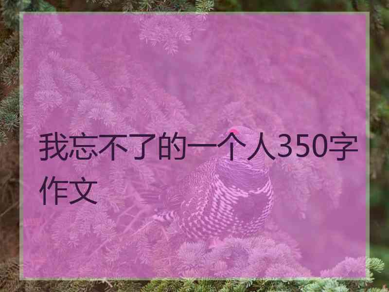 我忘不了的一个人350字作文