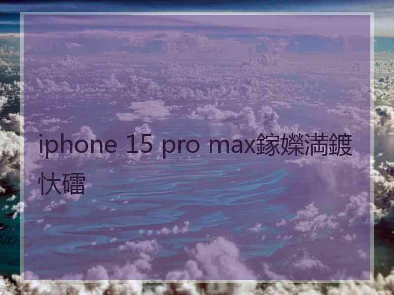 iphone 15 pro max鎵嬫満鍍忕礌