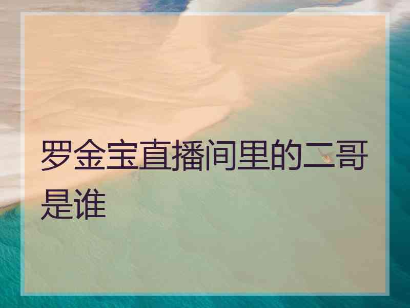 罗金宝直播间里的二哥是谁