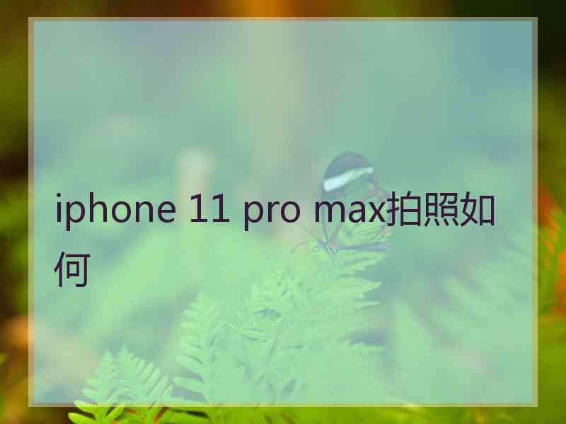 iphone 11 pro max拍照如何