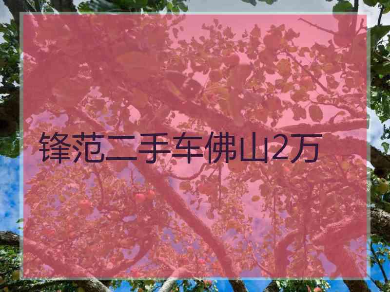 锋范二手车佛山2万