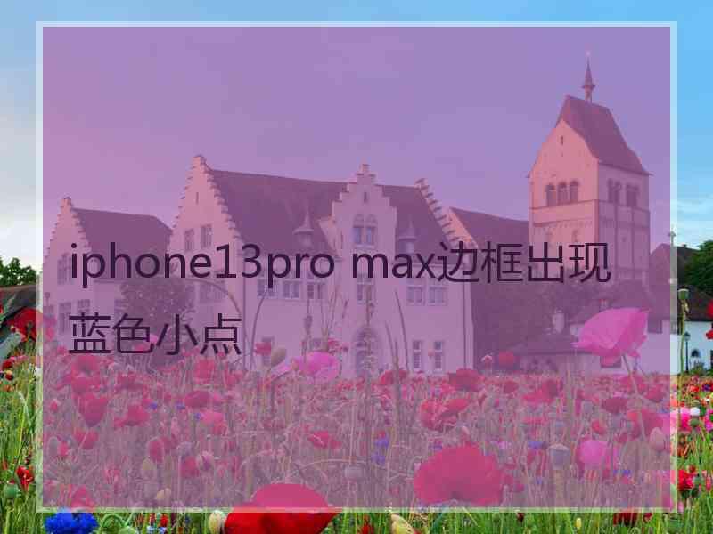 iphone13pro max边框出现蓝色小点