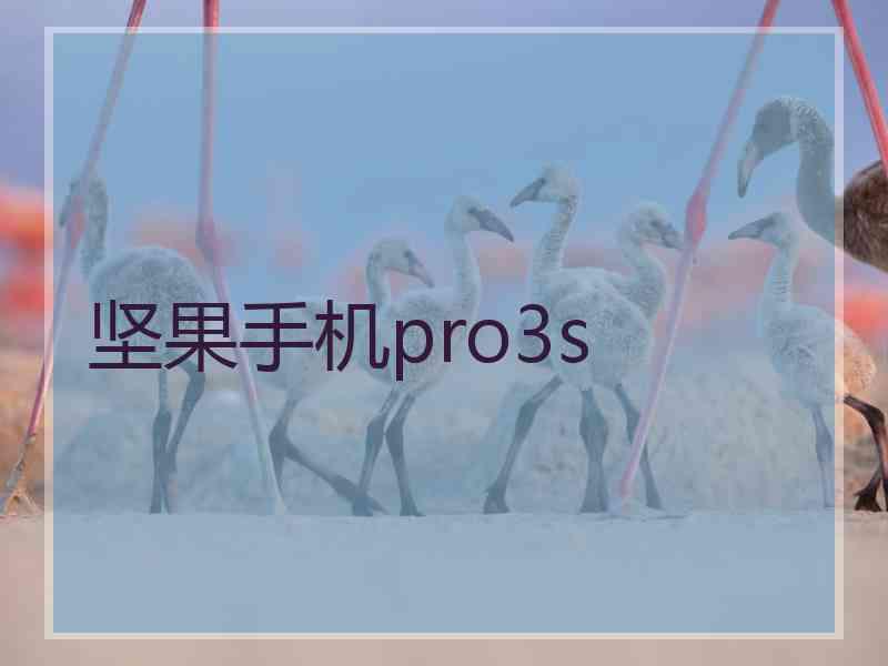 坚果手机pro3s