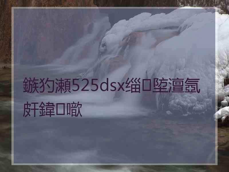 鏃犳瀬525dsx缁埅澶氬皯鍏噷