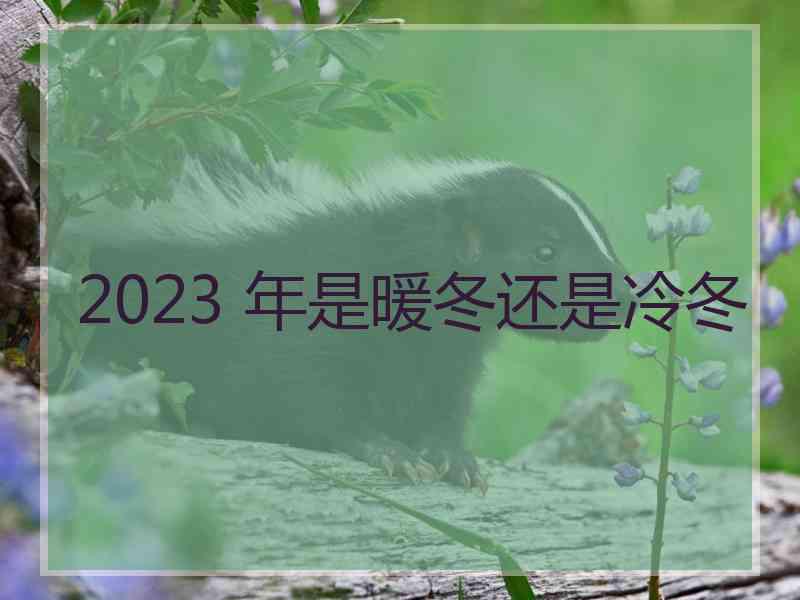 2023 年是暖冬还是冷冬