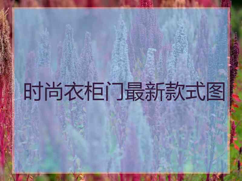 时尚衣柜门最新款式图