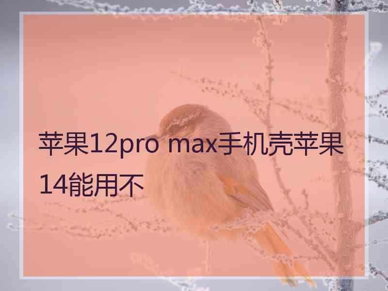 苹果12pro max手机壳苹果14能用不