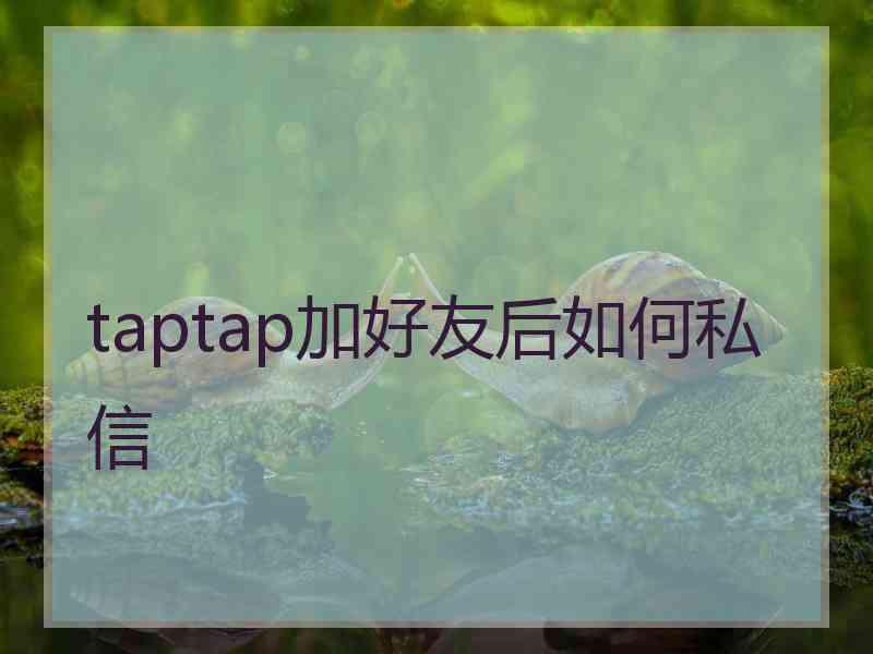 taptap加好友后如何私信