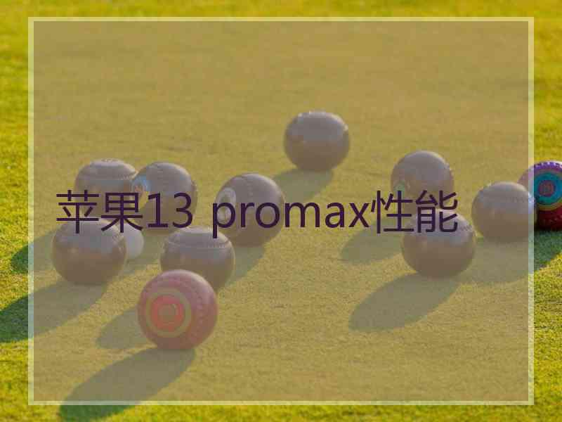 苹果13 promax性能