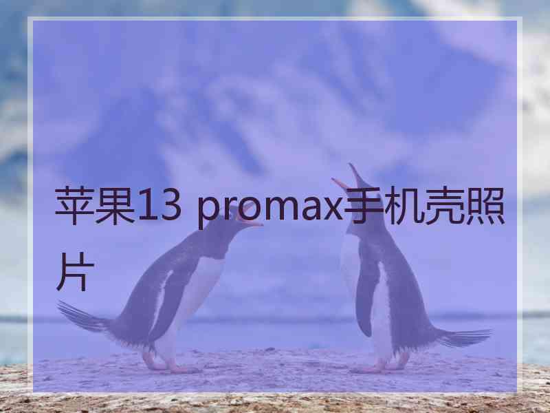 苹果13 promax手机壳照片