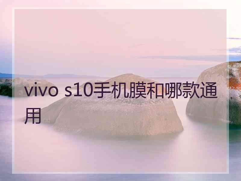 vivo s10手机膜和哪款通用