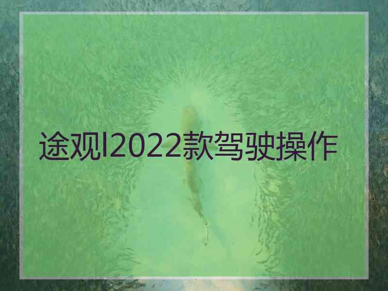 途观l2022款驾驶操作