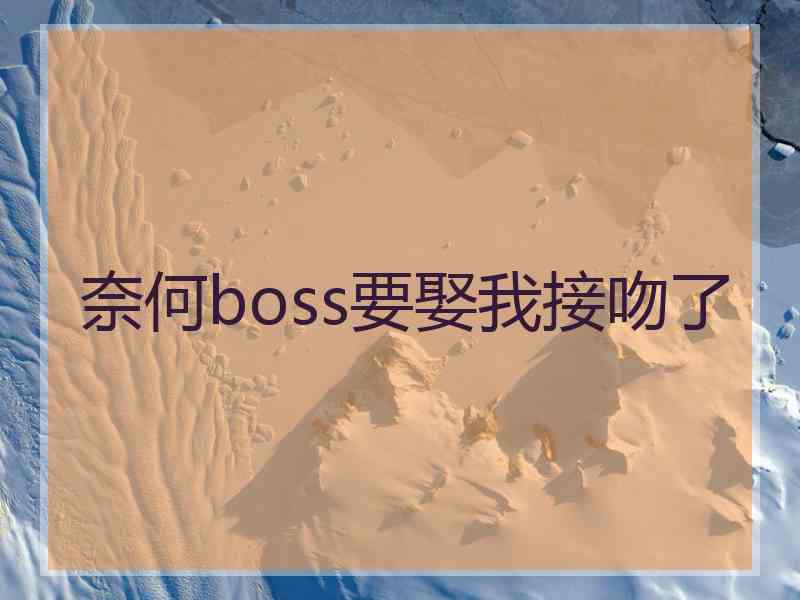 奈何boss要娶我接吻了