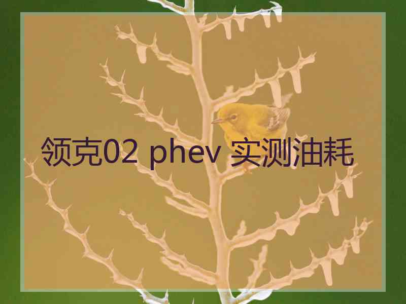 领克02 phev 实测油耗