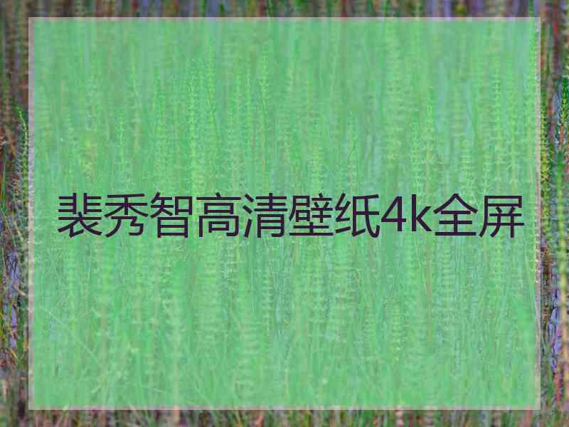 裴秀智高清壁纸4k全屏